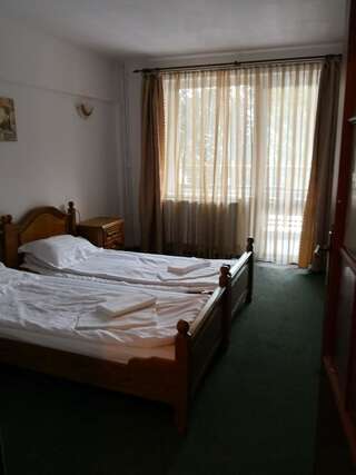 Хостелы Hostel Alex - Complex Dumbrava Minunata Кымпулунг-Молдовенеск Двухместный номер с 1 кроватью или 2 отдельными кроватями-1