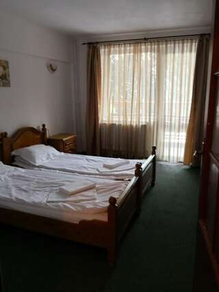 Хостелы Hostel Alex - Complex Dumbrava Minunata Кымпулунг-Молдовенеск Двухместный номер с 1 кроватью или 2 отдельными кроватями-2